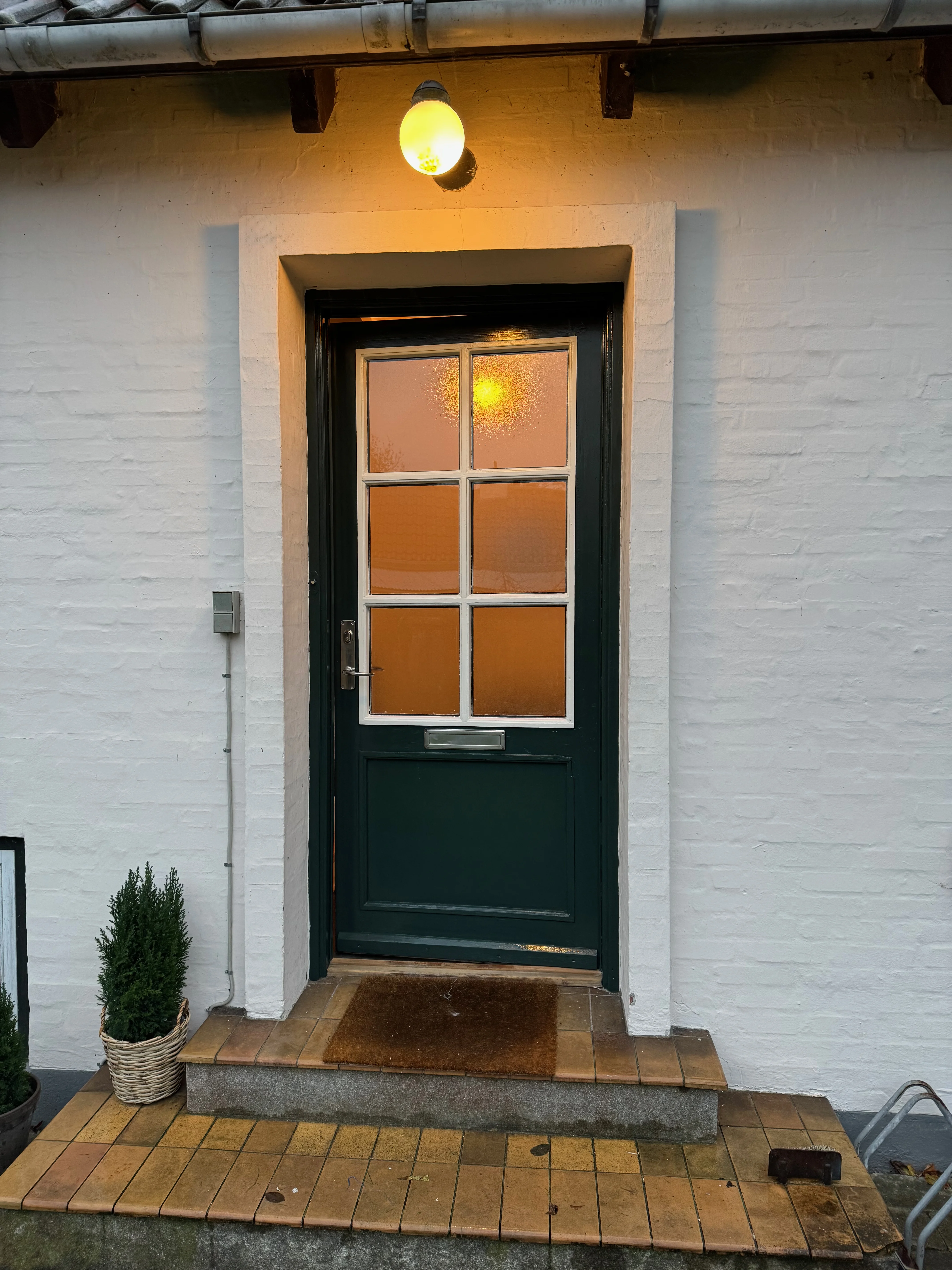 Restored exterior door after structural repair and repainting
